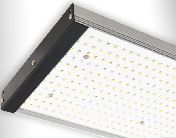 Luz LED de cultivo de 200W/300W, lámpara Phyto de espectro completo para plantas de interior, tienda de flores vegetales, lámparas de cultivo de plantas Fitolampy